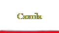 Camila