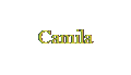 Camila